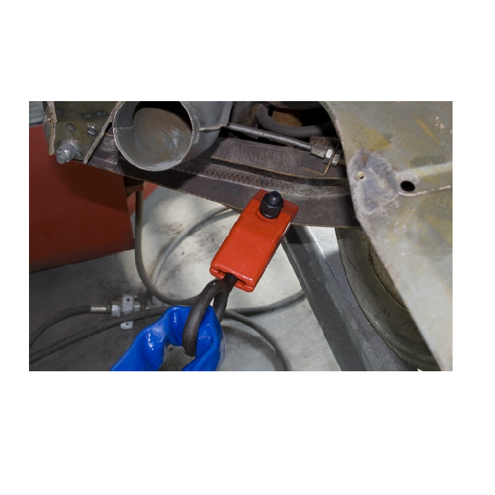 Luccio, Togklemma - Image 2